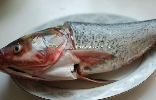 孕婦可以吃胖頭魚?吃胖頭魚有哪些好處?