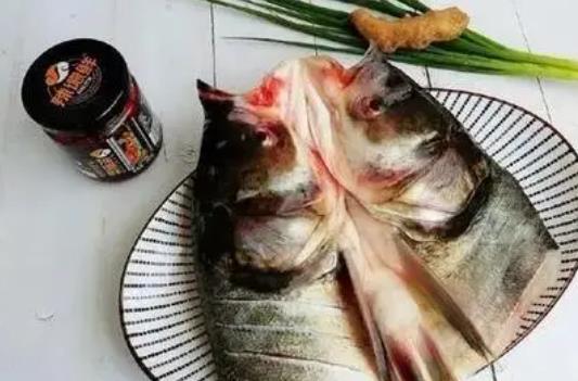 蕁麻疹患者可以吃胖頭魚嗎?胖頭魚有哪些營養價值?