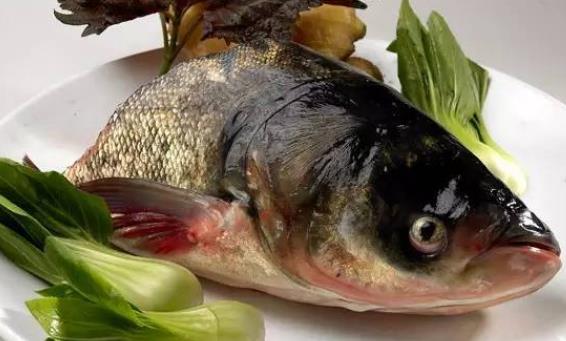 痛風患者可以吃胖頭魚嗎?吃胖頭魚會胖嗎?
