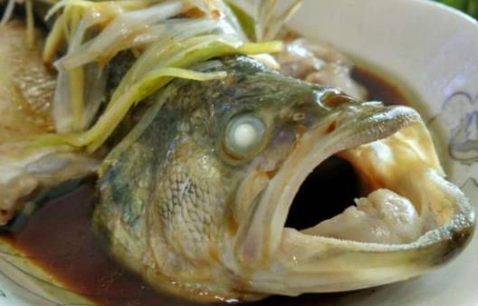 孕婦可以吃胖頭魚?吃胖頭魚有哪些好處?
