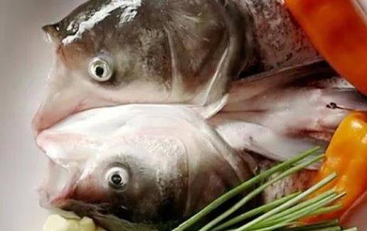 痛風患者可以吃胖頭魚嗎?吃胖頭魚會胖嗎?