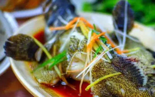 石斑魚可以生吃嗎?石斑魚吃生魚片安全嗎?