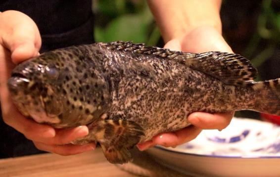 石斑魚可以生吃嗎?石斑魚吃生魚片安全嗎?