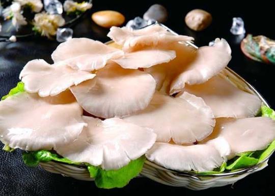 平菇發黑了還能不能吃?平菇發黃還能吃嗎?