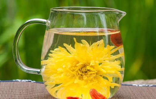 菊花茶安神還是提神 菊花茶適合什么季節什么時間喝