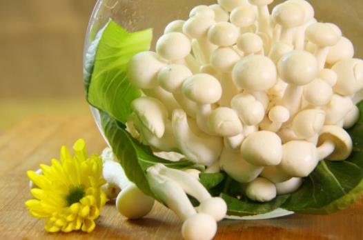 白玉菇是發物嗎?哪些人不宜吃白玉菇?