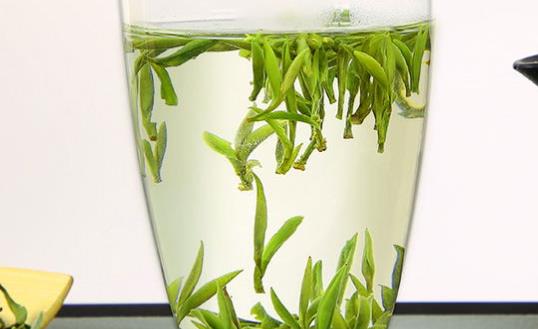 黃山毛峰綠茶生產地是在何處 黃山毛峰用什么杯子沖泡合適