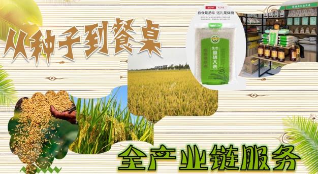 立足生態(tài)農(nóng)業(yè),發(fā)揚(yáng)食養(yǎng)文化——領(lǐng)尚食方緣的食養(yǎng)方法論
