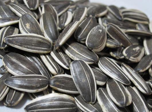 嗑瓜子嘴巴起泡怎么辦?吃瓜子嘴角開裂怎么辦