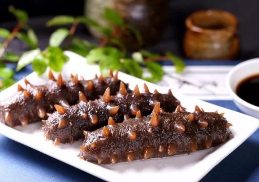 新鮮海參是要冷藏還是冷凍?海參為什么不鮮著冰起來