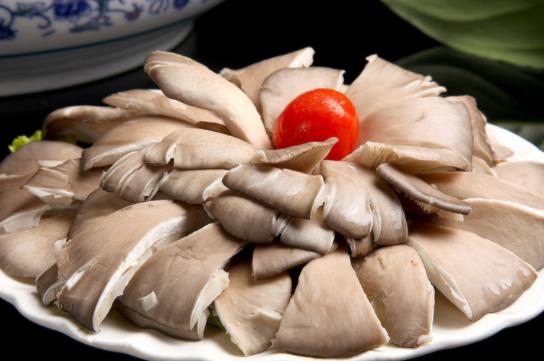 腎炎可以吃平菇嗎?吃平菇有哪些好處?