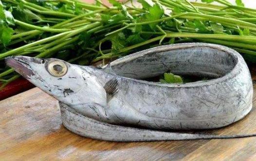 帶魚表面銀色需要去掉嗎 帶魚會導致過敏嗎