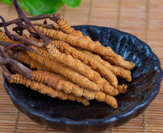 蟲草發霉是什么原因?蟲草發霉洗干凈了可以吃嗎