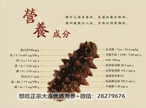 吃海參有什么好處?海參的功效與作用大揭秘! src=http___p.nanrenwo.net_uploads_allimg_180810_8496-1PQ0214134.png&refer=http___p.nanrenwo.jpg