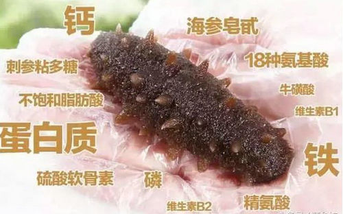 吃海參有什么好處?海參的功效與作用大揭秘! src=http___s5.sinaimg.cn_mw690_006aluchzy7irVdME1S04&690&refer=http___s5.sinaimg.jpg