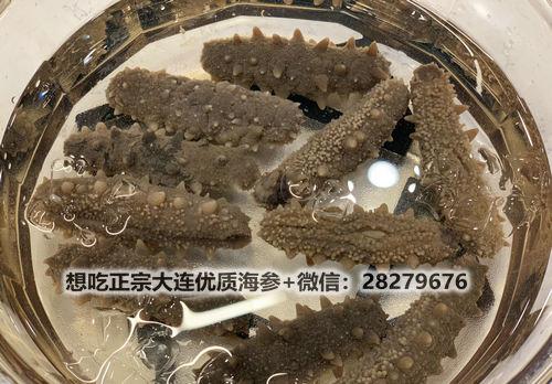 海參的泡發方法竟如此簡單!細數干海參泡發的正確方法 src=http___i5.chuimg.com_02247e5bad874aea89fc2f65d070b915_4032w_3024h.jpg&refer=http___i5.chuimg.jpg