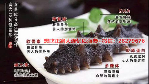 海參的營養價值高嗎,海參是補什么的?細數海參好處! src=http___www.suoyanzi.com_wp-content_uploads_2021_02_1614050501105_1.jpeg&refer=http___www.suoyanzi.jpg