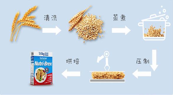 欣善怡Nutri-Brex麥片,明星都在吃的健康早餐