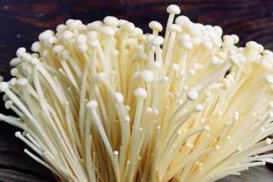 吃金針菇不消化有營養(yǎng)嗎?為什么吃金針菇會不消化?