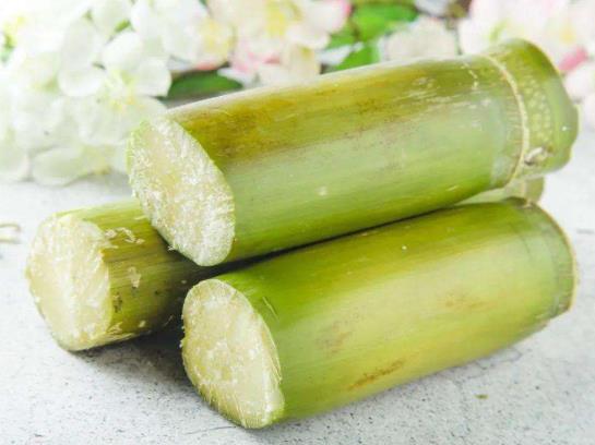 冬天吃甘蔗太涼可以蒸著或煮著吃嗎?甘蔗哪個(gè)地方最甜