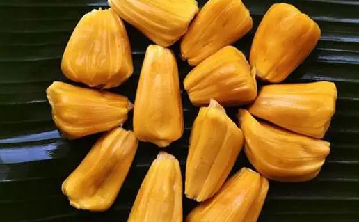 菠蘿蜜不太熟切開會壞嗎 已經(jīng)打開的菠蘿蜜怎么催熟