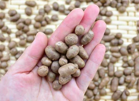 山藥豆怎么去皮?山藥豆最有營養的3種吃法