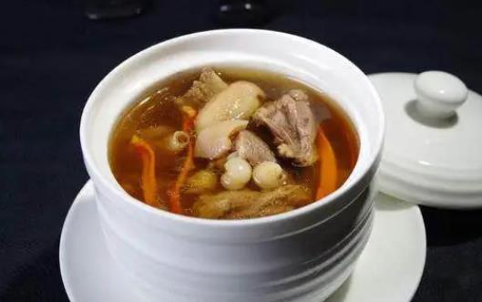鴿子和老母雞可以一起燉嗎?鴿子和老母雞哪個更有營養價值?