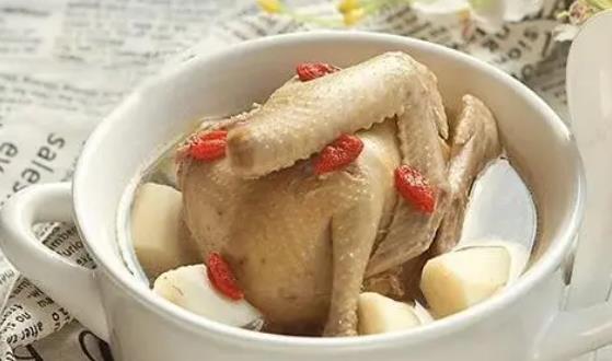 鴿子和老母雞可以一起燉嗎?鴿子和老母雞哪個更有營養價值?
