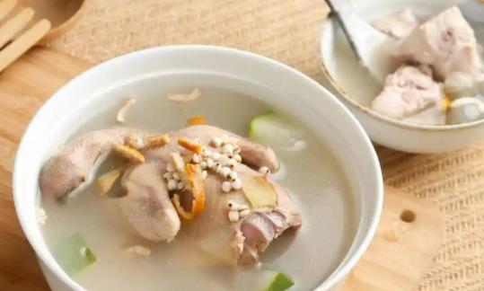 喝鴿子湯的注意事項有什么?鴿子湯適合放什么食材?