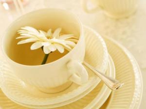 養顏喝什么茶好？7款養生花茶 喝出美麗容顏