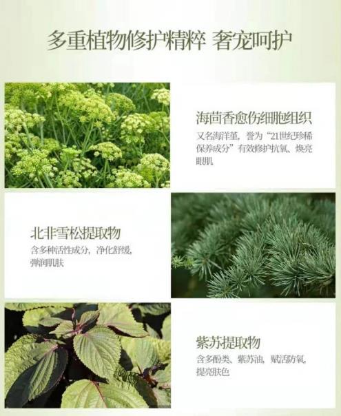 眼部護理不可馬虎 植迷薈眼部精華出眾實力圈粉