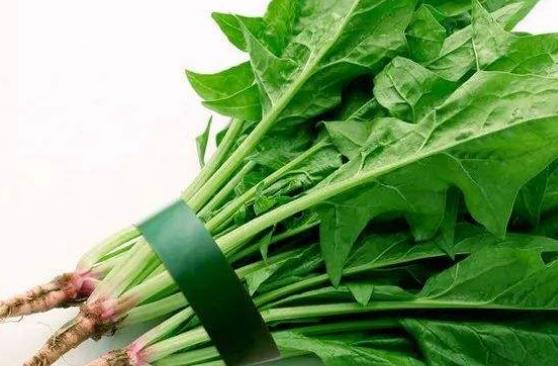 快速瘦臉養膚的5種食物 柿干對養膚有好處