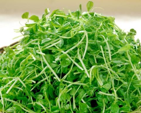 快速瘦臉養膚的5種食物 柿干對養膚有好處