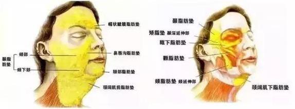 北京伊美爾幸福醫(yī)院姚紅偉:超聲刀和線雕哪個(gè)更好