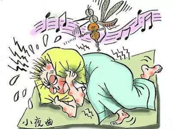 人為什么感覺(jué)癢的時(shí)候要撓?為什么怕癢的人自己撓自己卻不癢