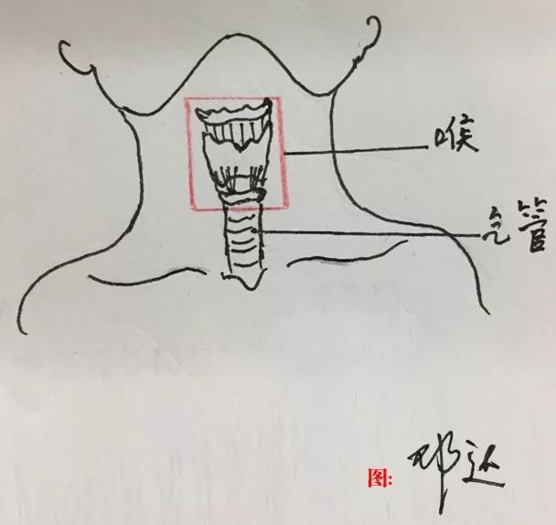 成都民生耳鼻喉醫(yī)院提醒:關(guān)于喉癌,我們所應(yīng)該知道的