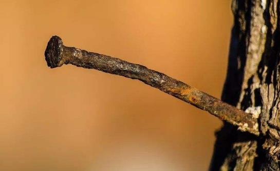 患破傷風有哪些癥狀?患破傷風對人體有哪些危害(并發癥)