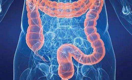 引發(fā)直腸癌的的原因有哪些?怎么預(yù)防直腸癌?