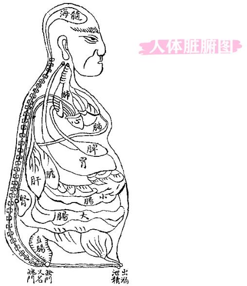 著名中醫腫瘤專家羅應權坐診成都御生堂中醫館