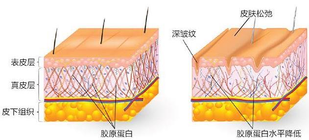 重慶當代整形醫院專家水平怎么樣 只為讓您更美