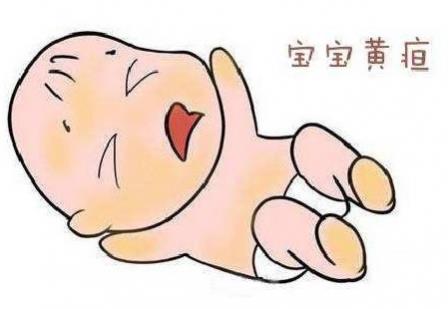 清黃樂對于新生兒黃疸的預防作用