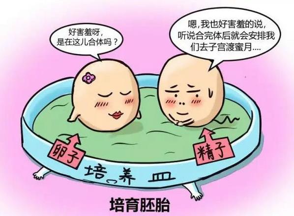 有關試管嬰兒的十個常見問題優貝貝生殖中心整理好了