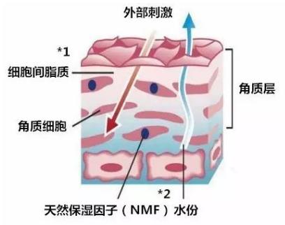 換季臉過敏發(fā)紅怎么辦?好的敏感肌膚護膚品哪種好?