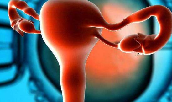 哪些做法會(huì)讓月經(jīng)變少?月經(jīng)量少的癥狀有哪些?