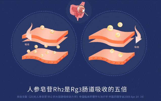 同仁堂人參皂苷Rg3官方價格多少錢一盒?