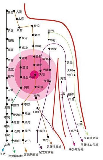 北京電視臺BTV公共頻道《品質生活》欄目專訪福乳堂乳腺貼多少錢一盒