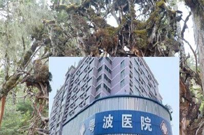 及聾啞專家李全義大夫靠譜嗎的感覺