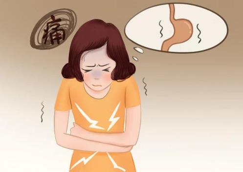 不僅會吃還要會調理腸胃,年輕人快來看成人益生菌哪種好?