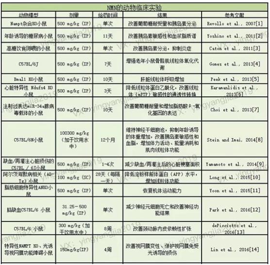 你,真的了解NMN嗎?