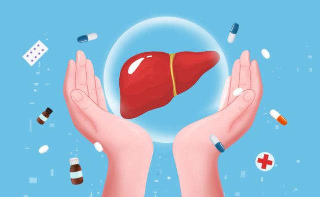 化學性肝損傷是什么?補充益肝營養,湯臣倍健健安適有用處